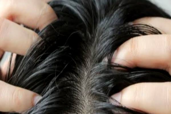 விளக்கெண்ணெய் hair mask
